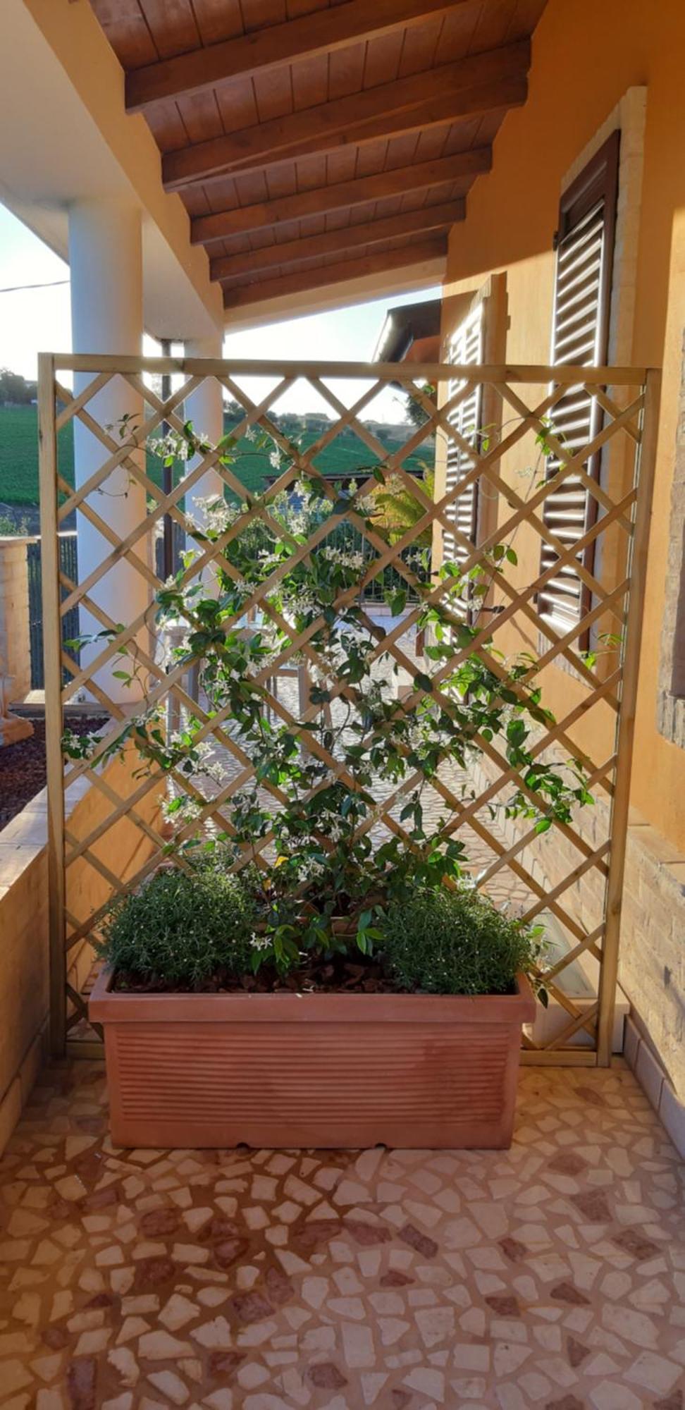B&B Agrifoglio Sant'Elpidio a Mare Exterior photo