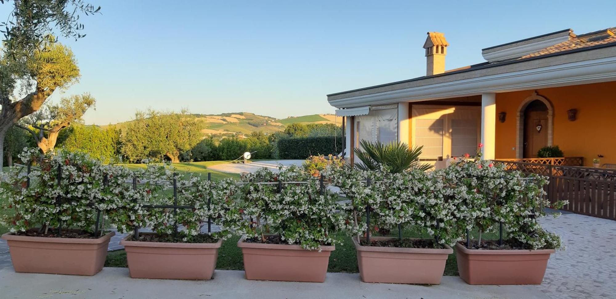 B&B Agrifoglio Sant'Elpidio a Mare Exterior photo